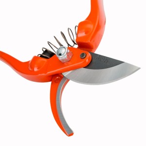 20230413125920_bd6cc59c (1)_1080x1080